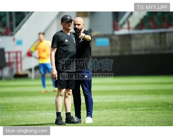 什么是教练技术犯规，比赛中有哪些具体行为会导致判罚？