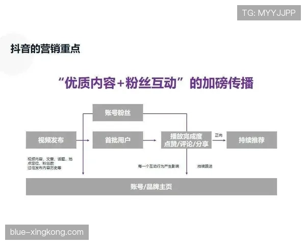 比赛暂停规则详解：裁判中断比赛的判罚条件与流程解析